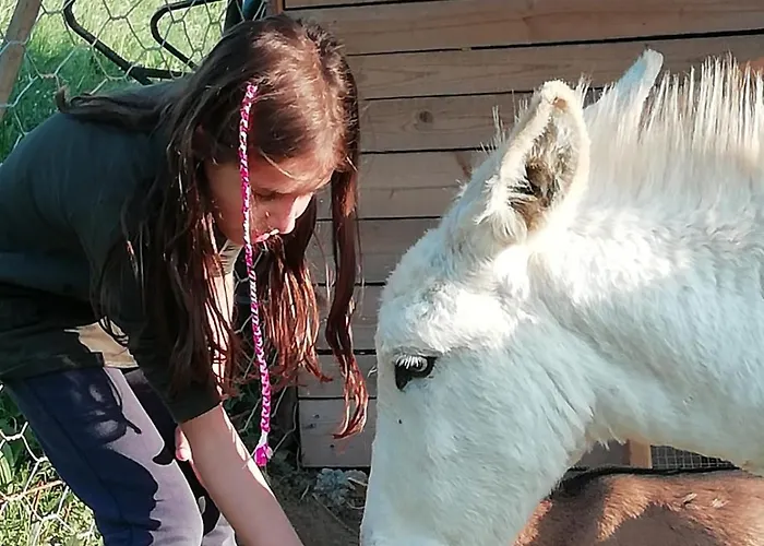 ベッド・アンド・ブレックファスト In Fattoria 3*